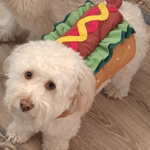 Meet your Posher, June - Picture 3 of 7